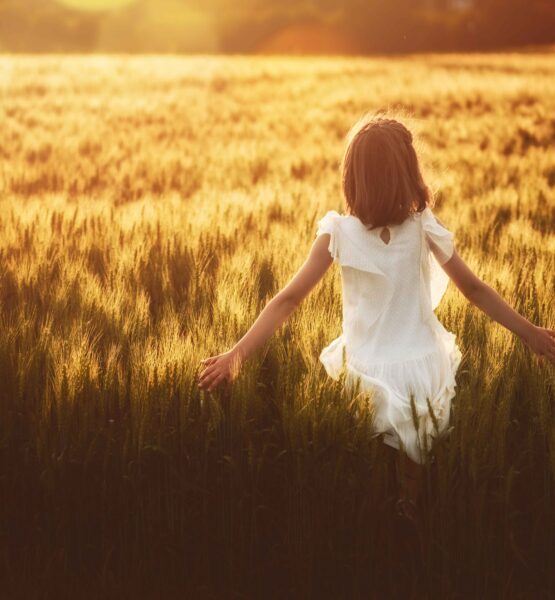 Lettera Ad Un Amica Che Non C E Piu Renovatio 21