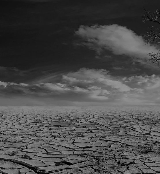 Questa è la Terra desolata RENOVATIO 21 Questa è la Terra desolata RENOVATIO 21